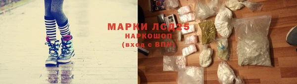 гидра Покровск