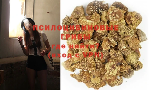 гидра Покровск