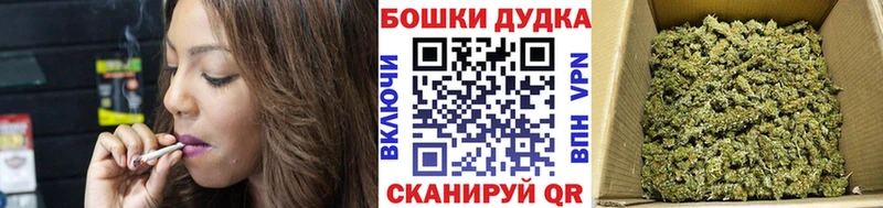 Бошки Шишки THC 21%  закладки  Агрыз 
